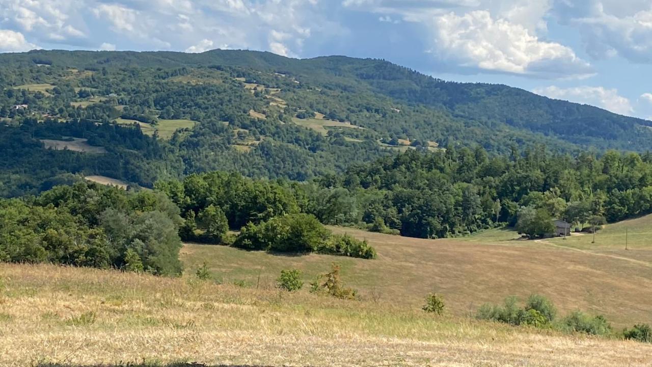 Agriturismo Il Casone San Benedetto Val di Sambro Exterior foto